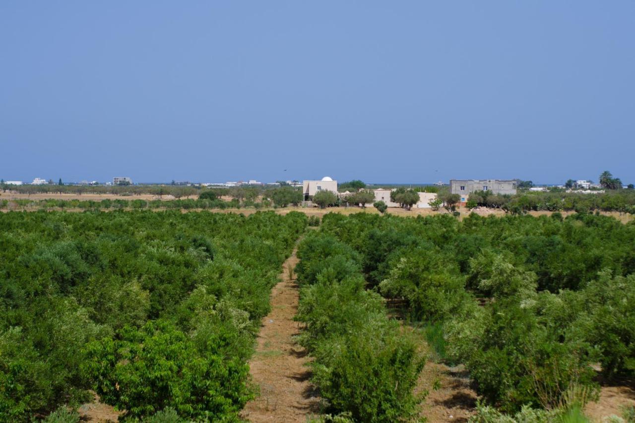 Villa Olivia, Yasmine Hammamet, Bouficha Buitenkant foto