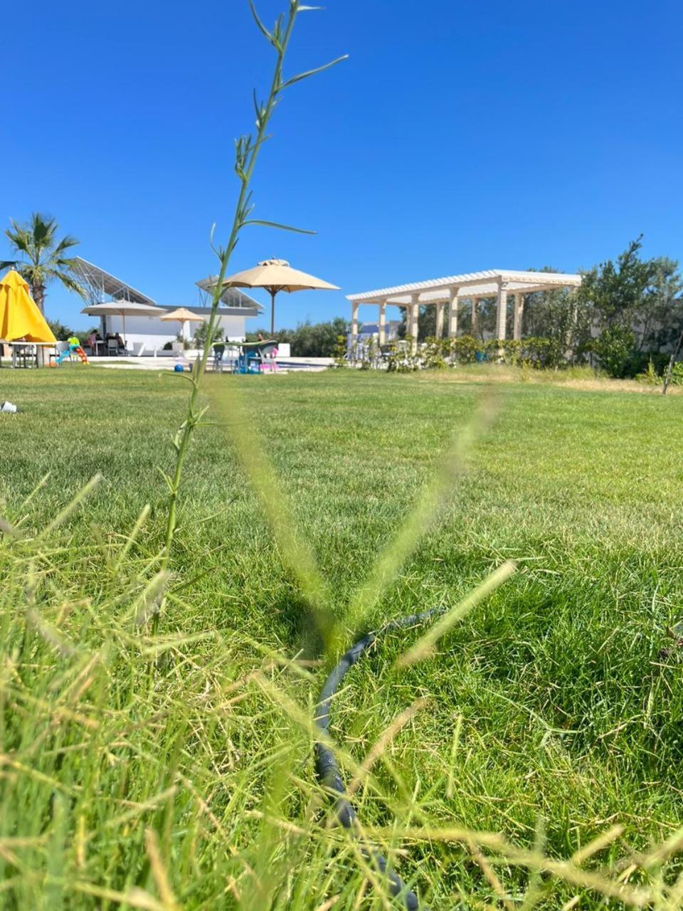 Villa Olivia, Yasmine Hammamet, Bouficha Buitenkant foto