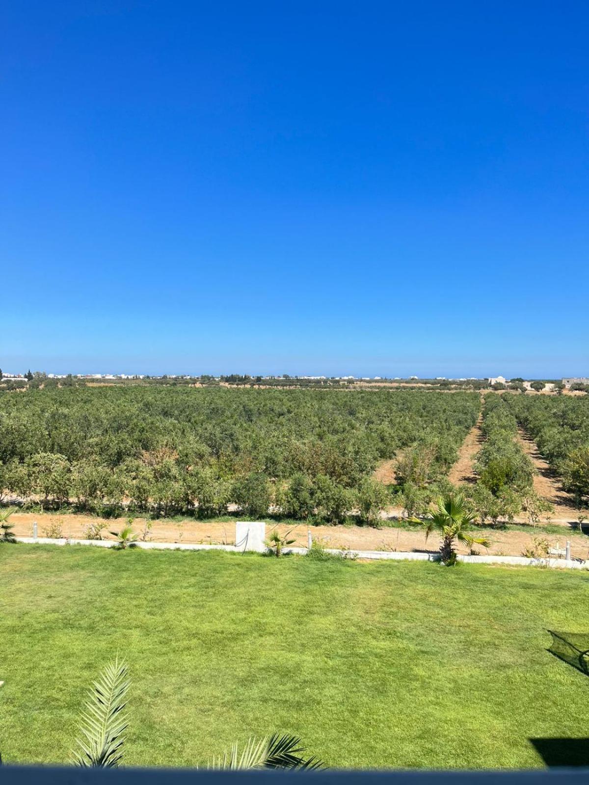 Villa Olivia, Yasmine Hammamet, Bouficha Buitenkant foto