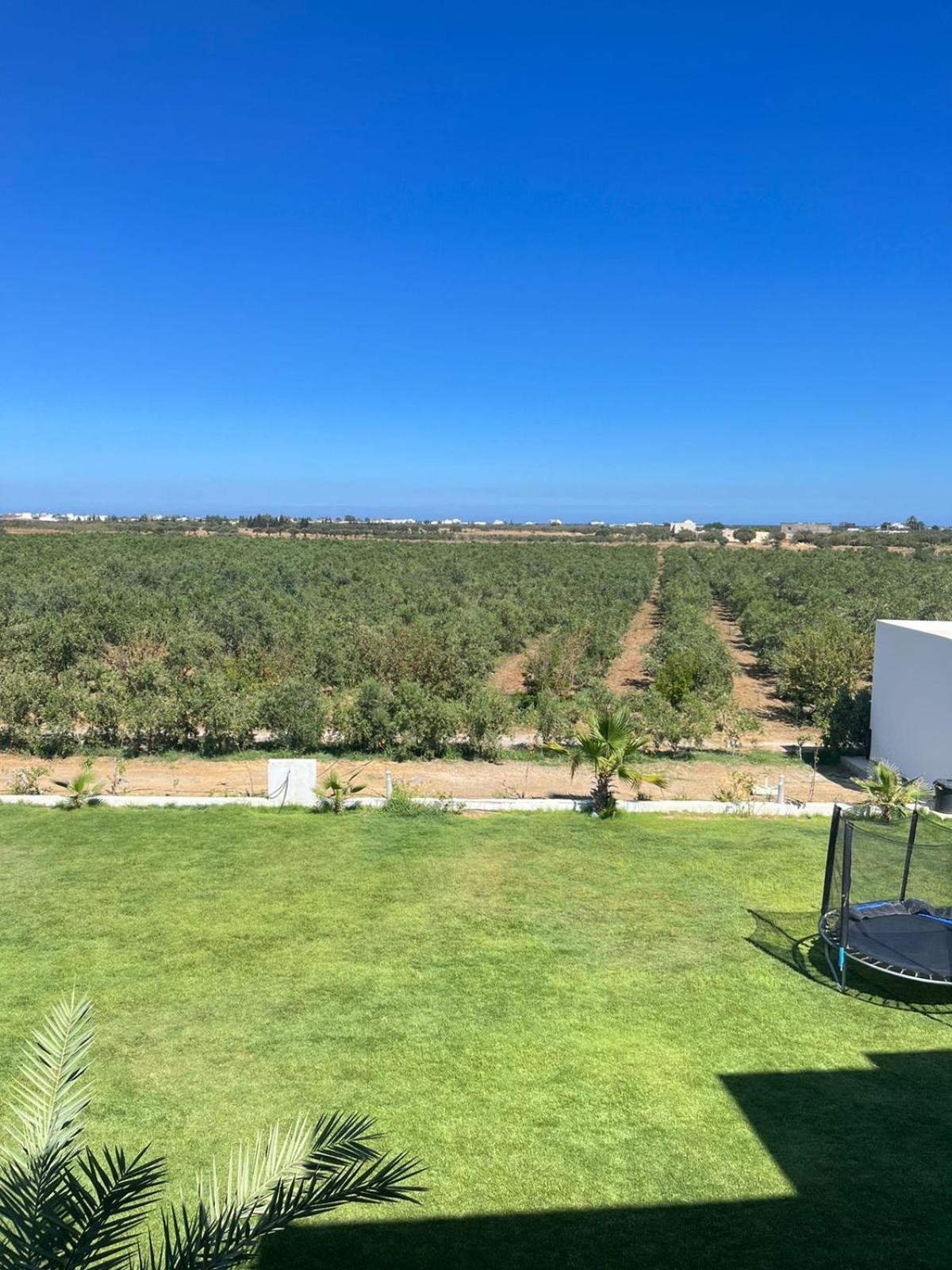 Villa Olivia, Yasmine Hammamet, Bouficha Buitenkant foto