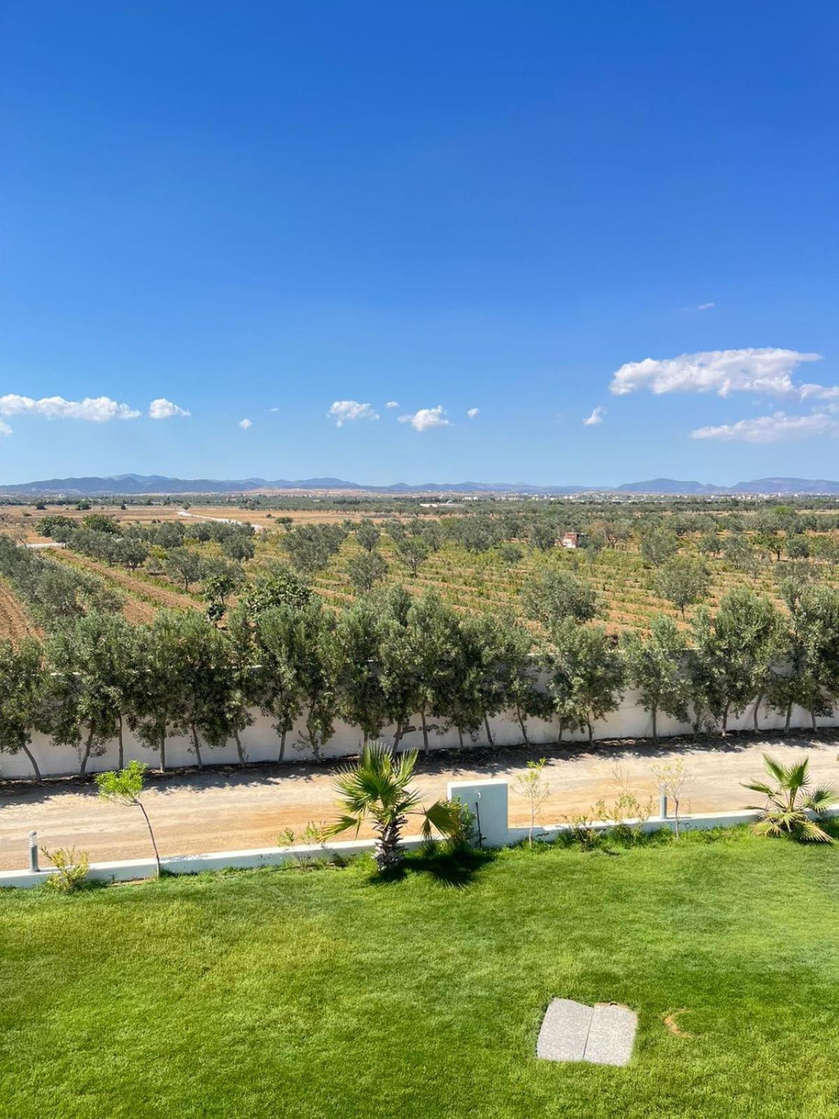 Villa Olivia, Yasmine Hammamet, Bouficha Buitenkant foto